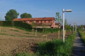 Condominio Mulino del Picco a Carignano realizzato da Bucci Spa