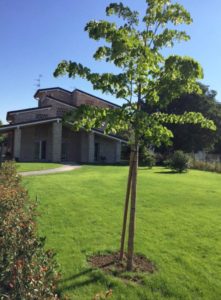 Villa privata a Alberi realizzata da Bucci Spa