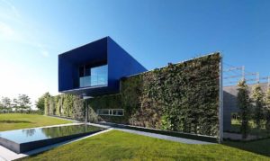 Giardino verticale Casa Blu