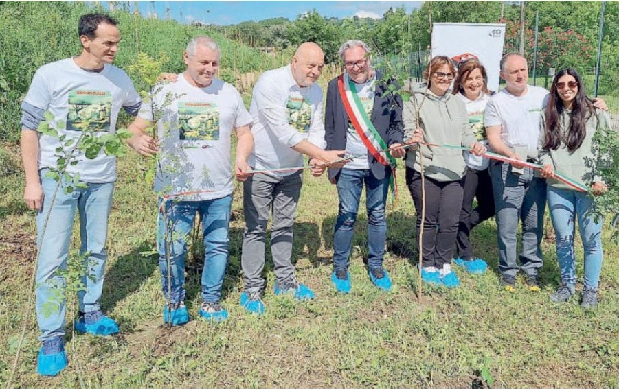 Bosco Bucci