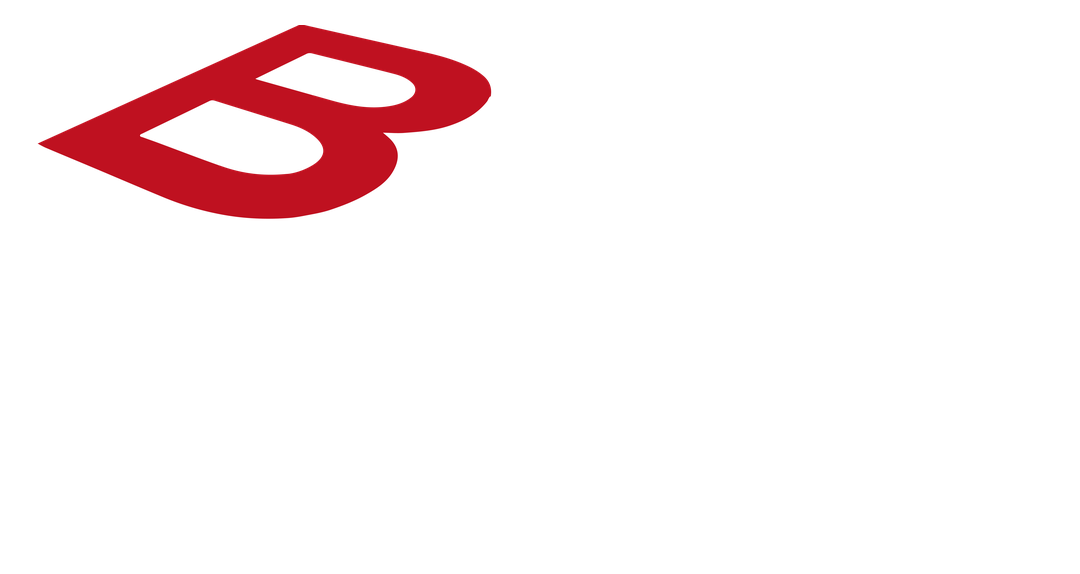 logo bucci B Corp